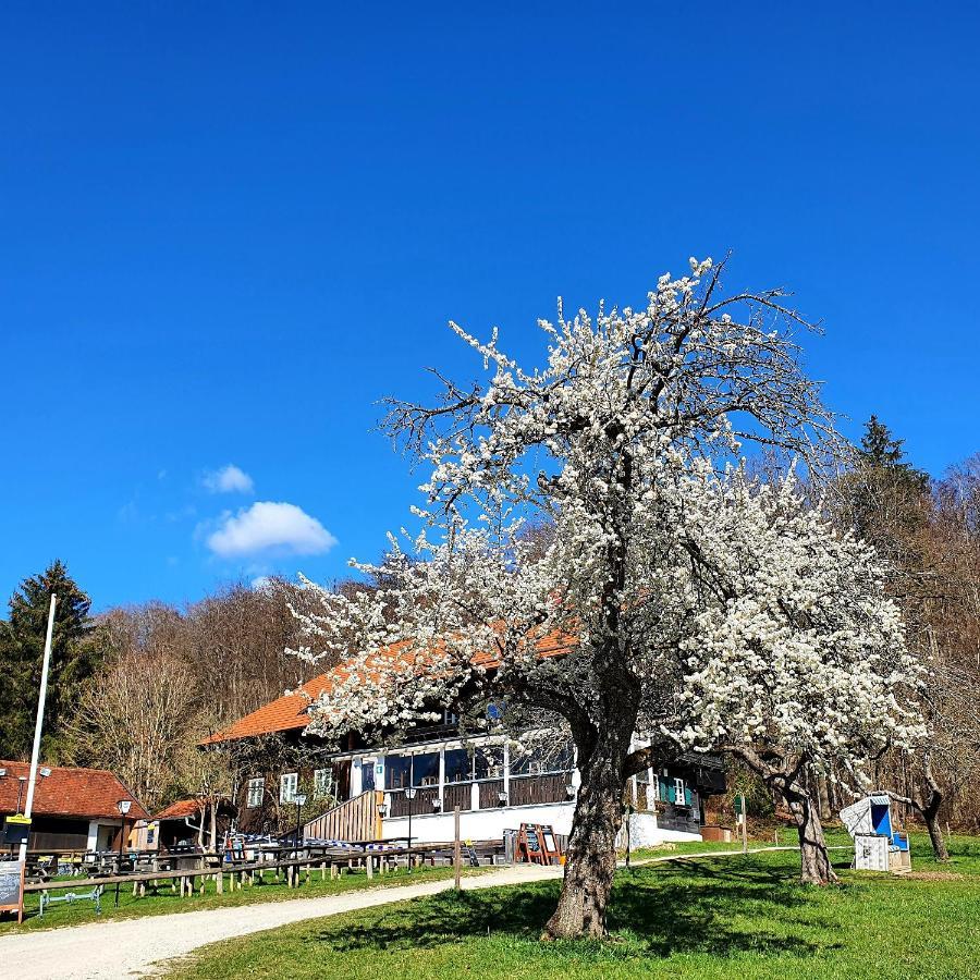 Schatzbergalm Pension Diessen am Ammersee Exterior photo